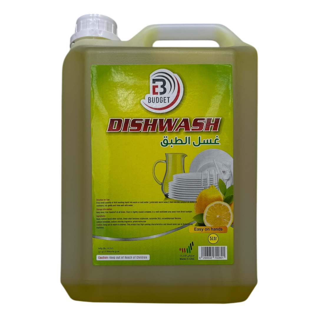 Dish Wash
